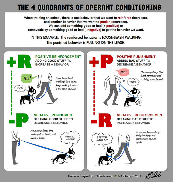 4 Quandrants of Operant Conditioning