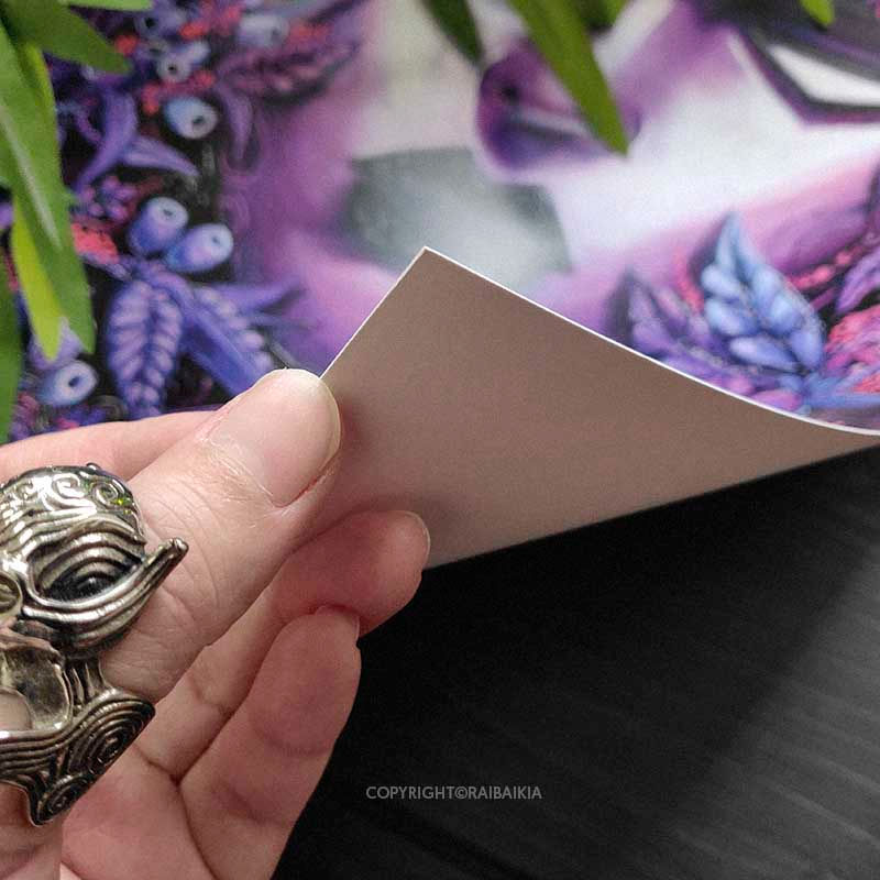 Miniature : Img-Poster-raibaikia-shop