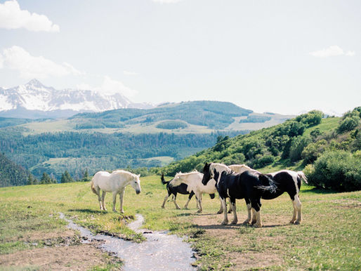 Colorado- Summer 2019