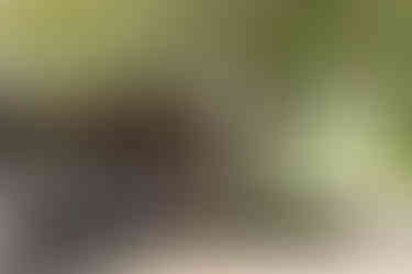 長谷日限地蔵尊