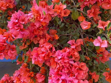 Are You Loving Hard or Hardly Loving?