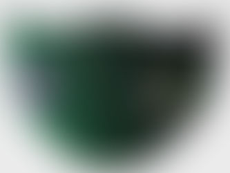 Mascaretes personalitzades del CBSM