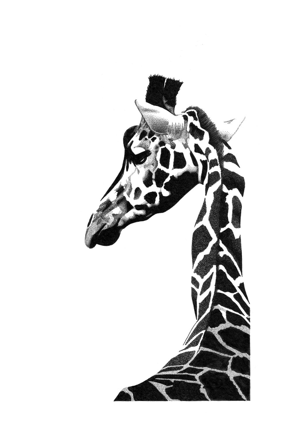 Black and white giraffe illustration