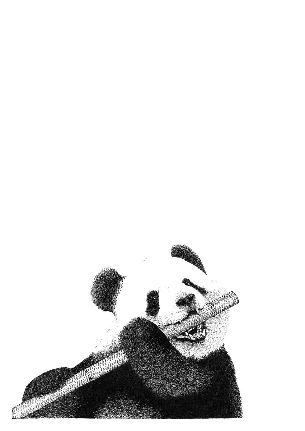 Black and white panda illustration