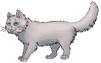 kissa4-200.gif