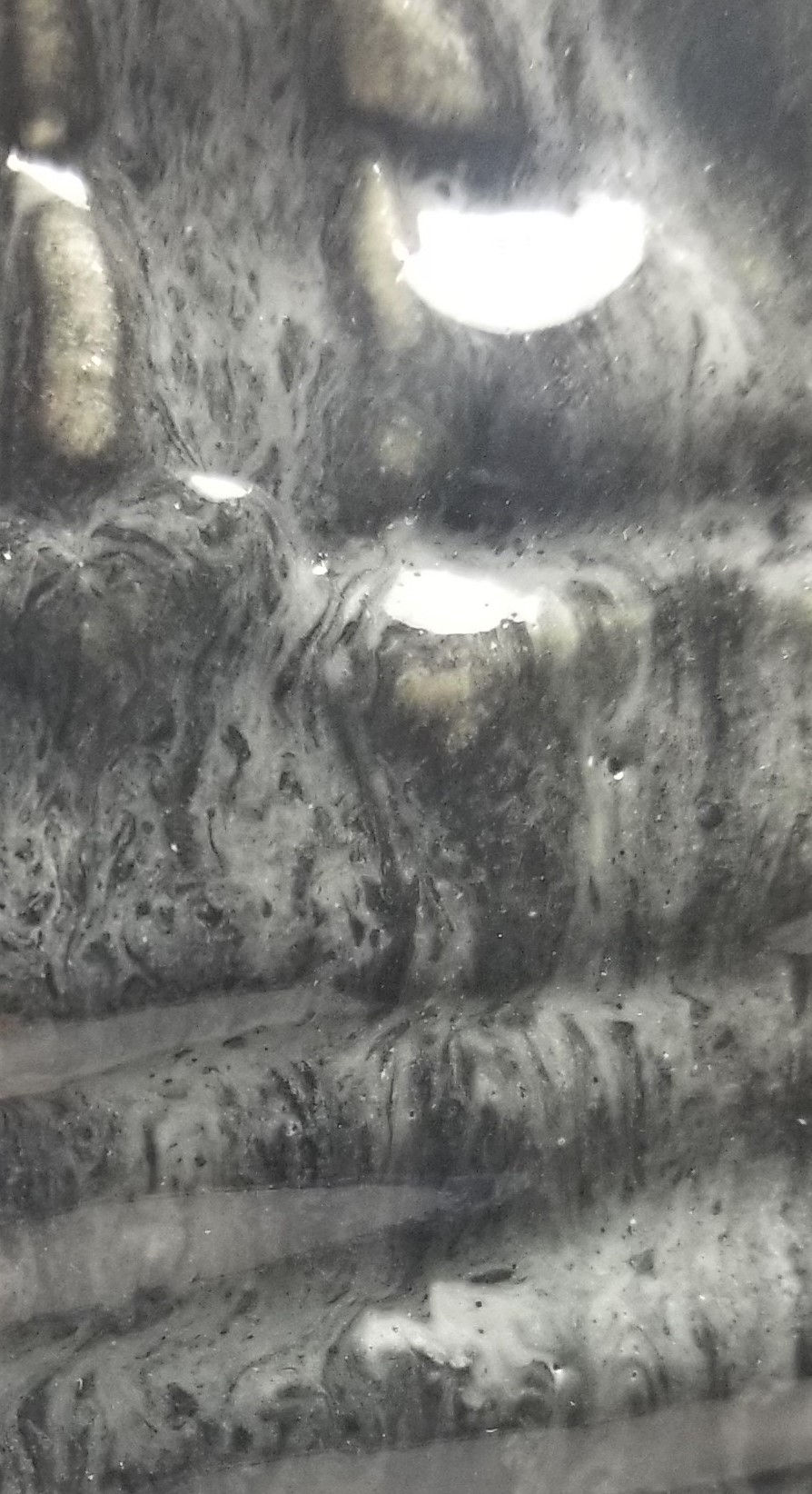 Thumbnail: "Coiled Depths"