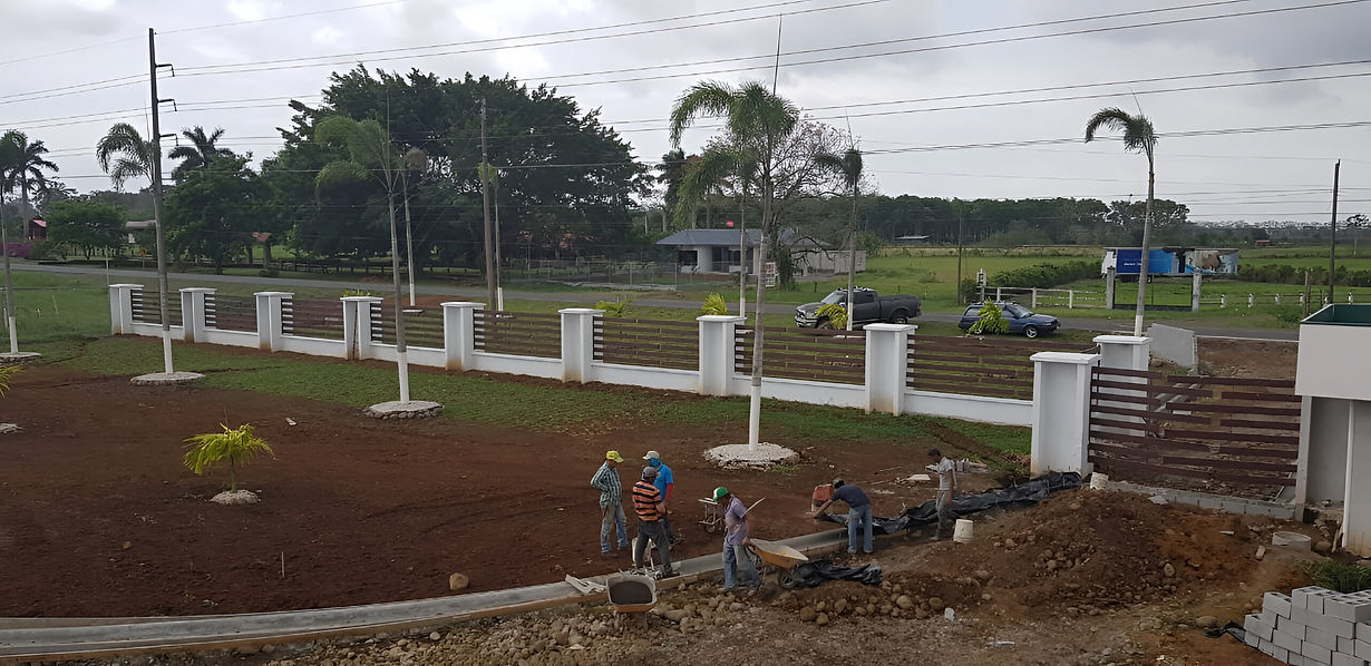 pixelcut-export (5).jpeg