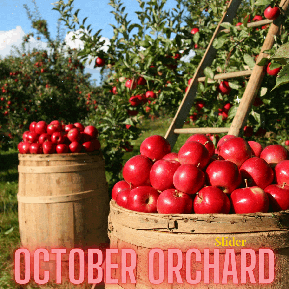October Orchard.gif