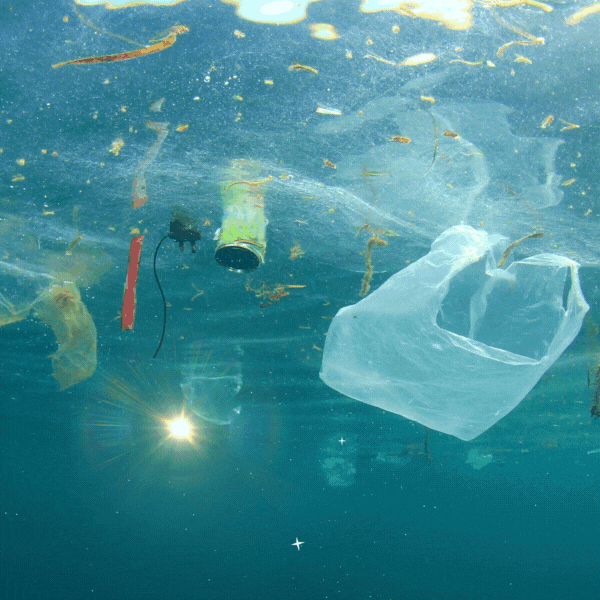 Clean Up The World.gif