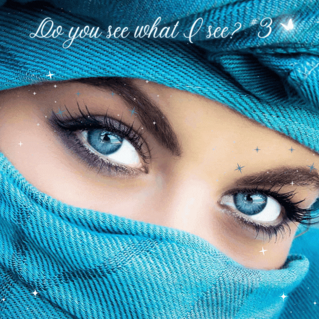 Do you see what I see #3.gif