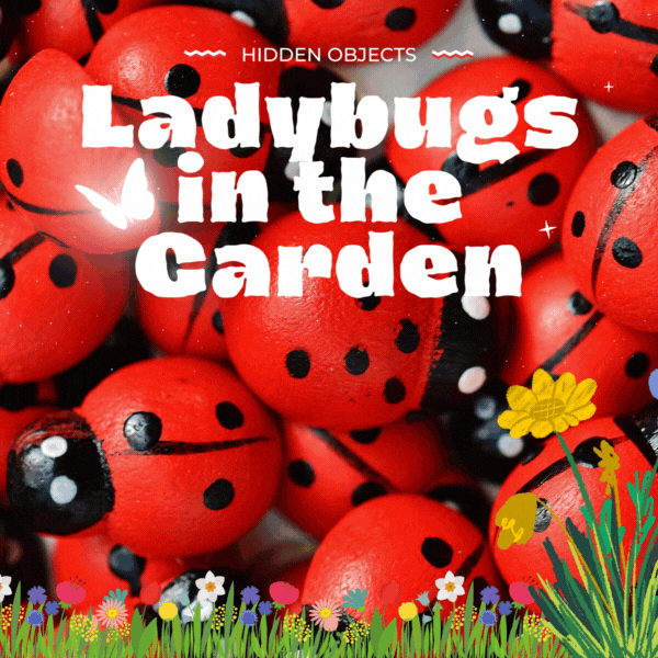 Ladybugs Cover.gif