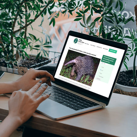 New Marketing Portfolio (10)_edited.jpg