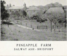Pineapple Estate, our history