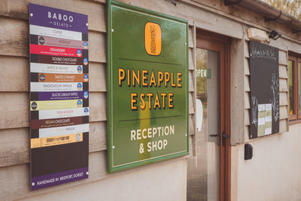 Pineapple 22 Screen Res-008.jpg