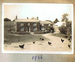 Pineapple Estate, our history