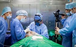 내시경 수술시연