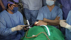 내시경 수술시연