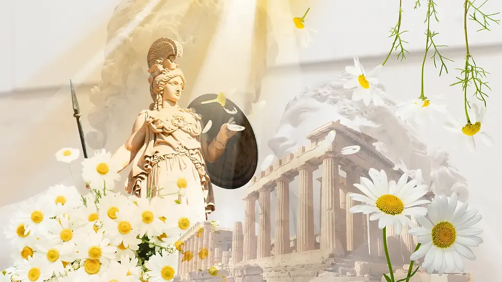 Papaya'nın Mitolojisi