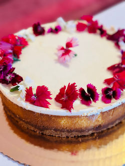 Cheesecake