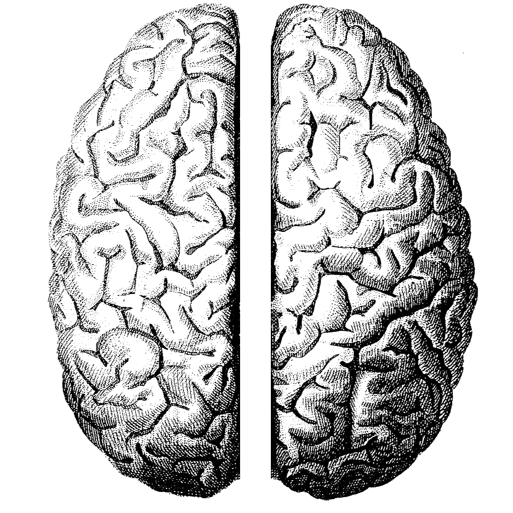 justbrainBlack.gif