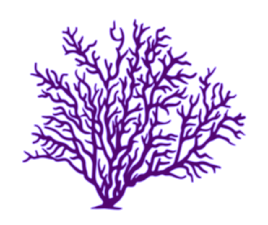 pngegg (57)_edited.png