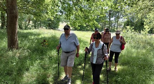 Capture d'écran 2026-06-02 065414.png