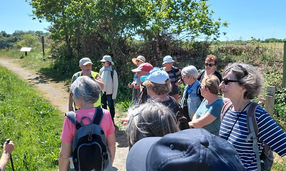 Capture d'écran 2026-04-27 202444.png