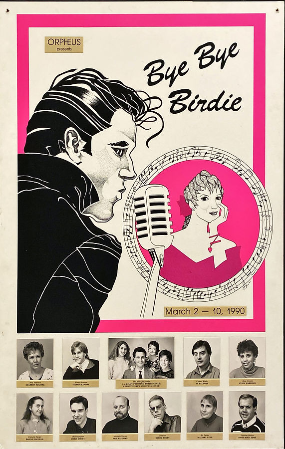 Bye Bye Birdie