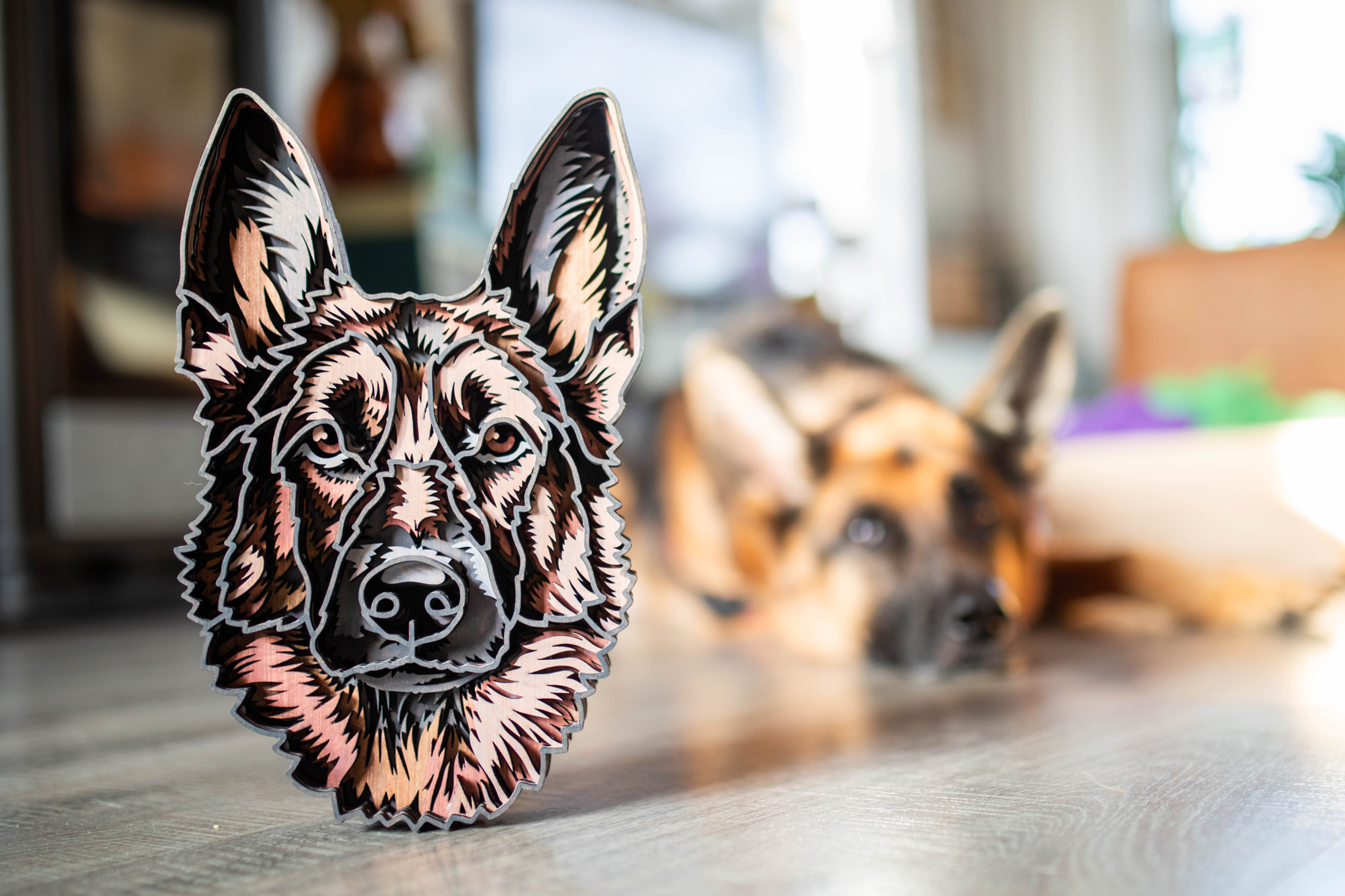 3D houten hondenportret (Diverse rassen)