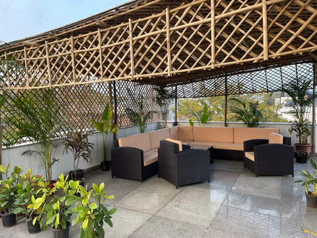 Begrünung der Terrasse🪴