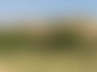 Jaisalmer und die Wüste