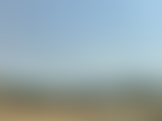 Rajasthan - Paläste & Kamele