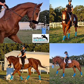 Marlin FLat work.jpg