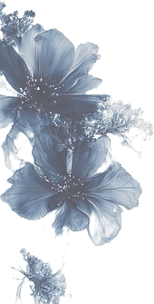 dc18693c-3eed-4caf-8705-13ce28417a4d_edi