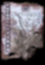 The Oldest Book in the Americas is a Mayan Guide to Astronomy | Page 9 (column Q) A god with tear-drop eye and “Dick Tracy” nose holds a round object (perhaps a stone he is about to hurl) by one hand and a tied captive by the other. His head is cleft, with two stepped scrolls on either side; in the cleft can be seen something like kernels of maize. I presume this is the Maize God, but he bears little resemblance either to Cintéotl, the Mexican Corn God, or to God E, his Maya counterpart. His ear is unusually large and fleshy, and from his neck hangs an ovate pectoral with two dots, an ornament also known for a Toltec-Maya warrior at Chichén Itzá (Tozzer 1957, fig. 690). The strange captive whom he holds by a double rope has the same prominent upper teeth that he has; on the captive’s head is a bird resembling a cormorant.