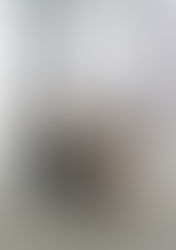 Talent Spotlight: Tianlan Deng