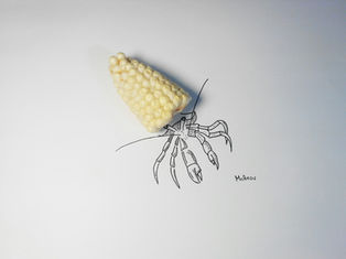 Food Meets Imagination: A photo essay