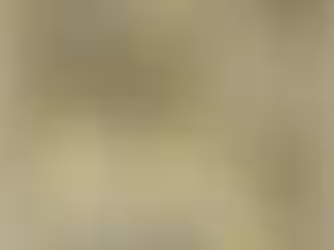 Poster for Delft Salad Oil by Jan Toorop (1893)