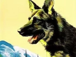 Poster for Rin Tin Tin's star debut, Where the North Begins (1923)