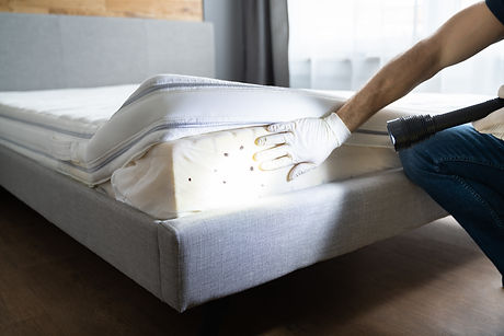 Bed Bug Infestation And Treatment Service. Bugs Extermination.jpg