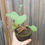 Thumbnail: Broccoli Di Ciccio