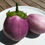 Thumbnail: Eggplant Rosa Bianca