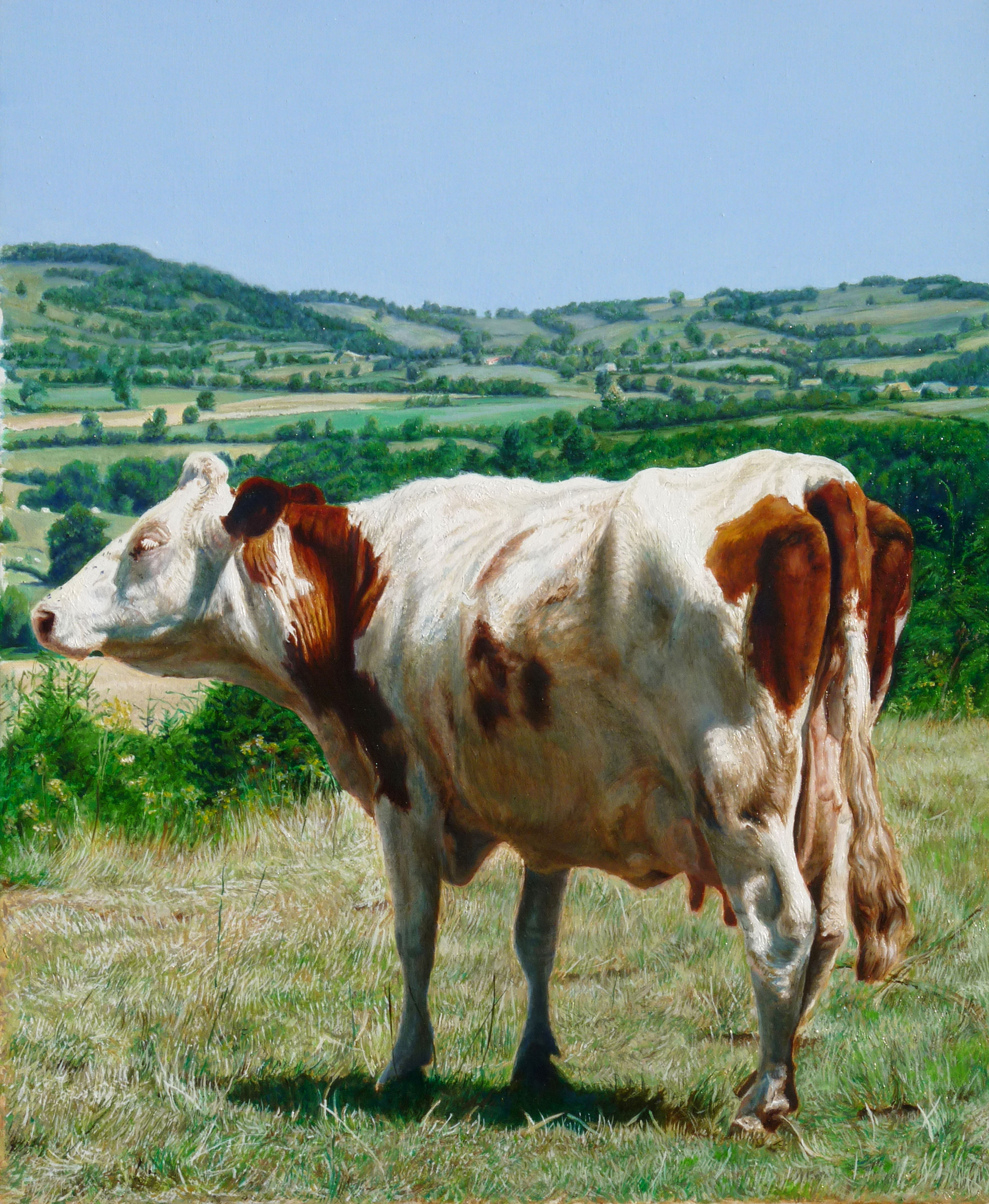 La vache
