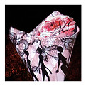 Gérard P - 9 - Bouquet de roses 90x100.