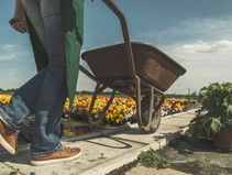 Keep Your Hand On The Plow