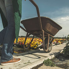 Gardener