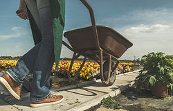 Gardener