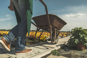 jardinero