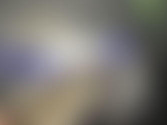 別讓「奶粉、鹽巴」成為您 Dyson 的最後一餐!