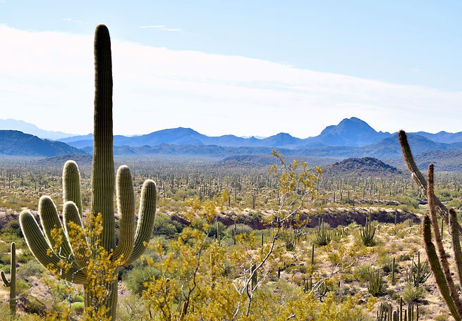 Arizona Desert landscape